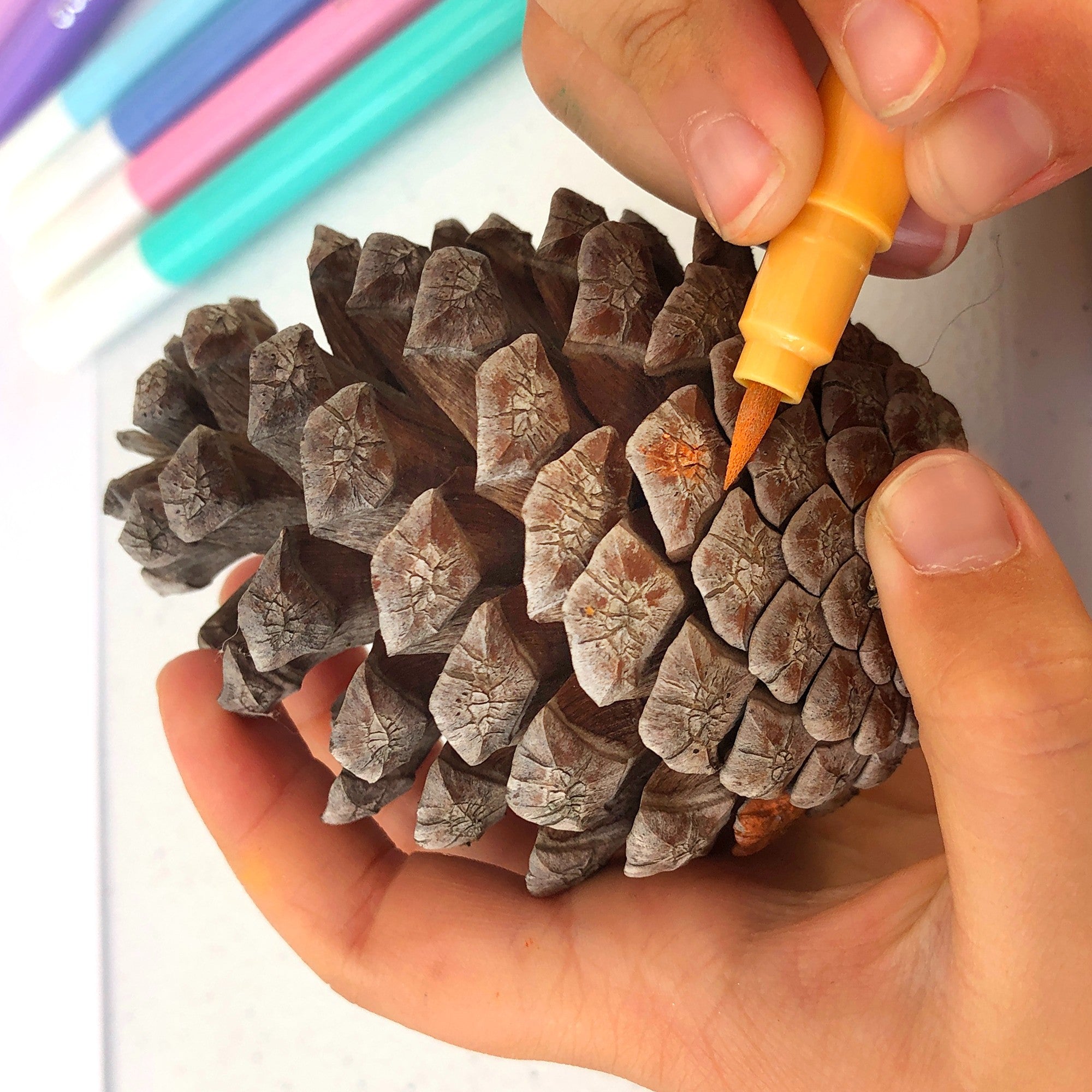 Hand holding pinecone while other hand colors using marker and markers in the background