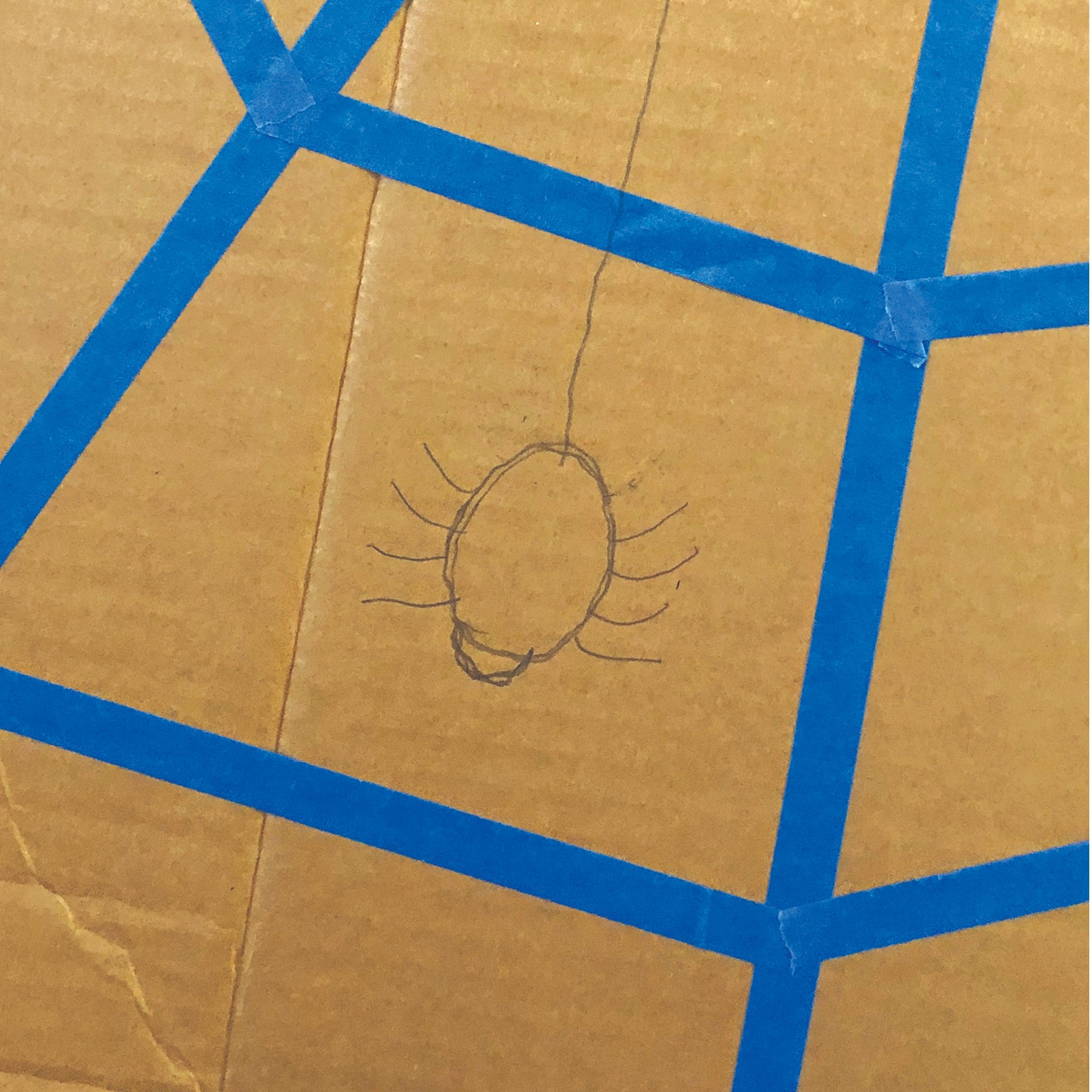 Pencil outline of spider on cardboard with blue painter's tape